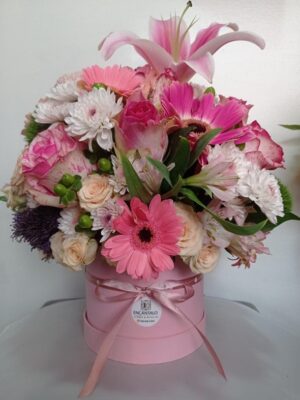 Coquette Premium Flor Fresca