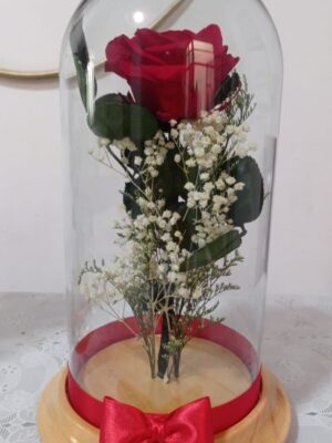 Rosa Preservada Lotus